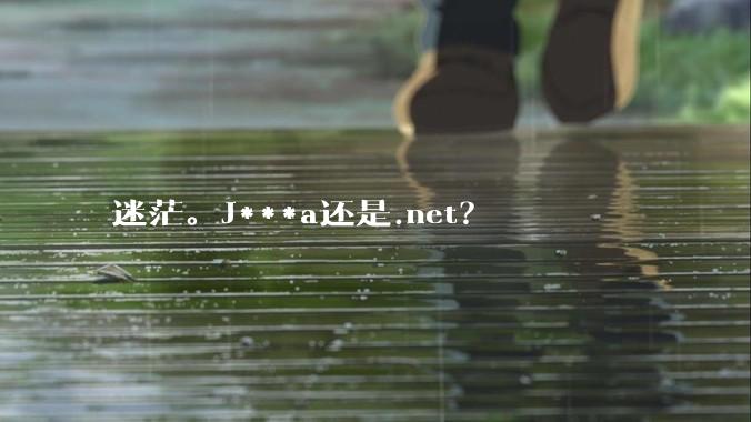 迷茫。J***a还是.net？