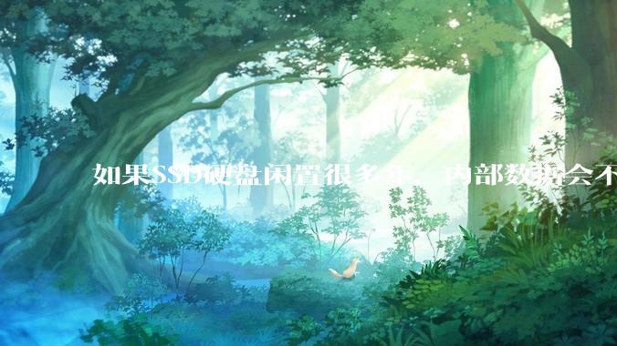 如果SSD硬盘闲置很多年，内部数据会不会丢失？